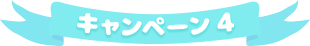 キャンペーン2