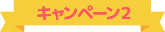 キャンペーン2