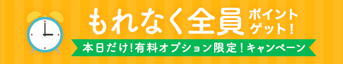 有料オプションキャンペーン