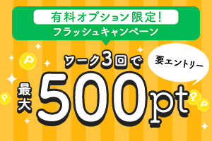 毎月5日は有料オプション限定キャンペーン