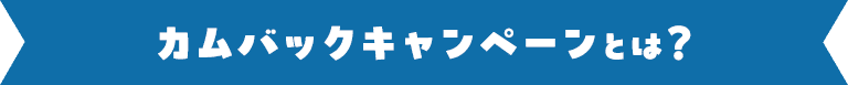 カムバックキャンペーンとは？