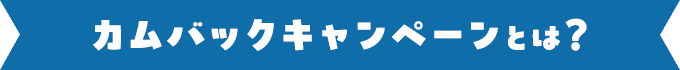 カムバックキャンペーンとは？